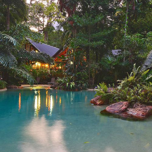 Ferntree Rainforest Lodge