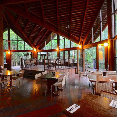 Ferntree Rainforest Lodge