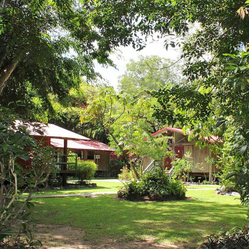 Pk’S Jungle Village