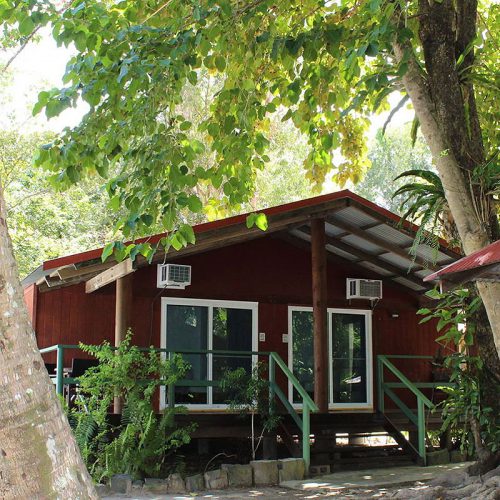 Pk’S Jungle Village