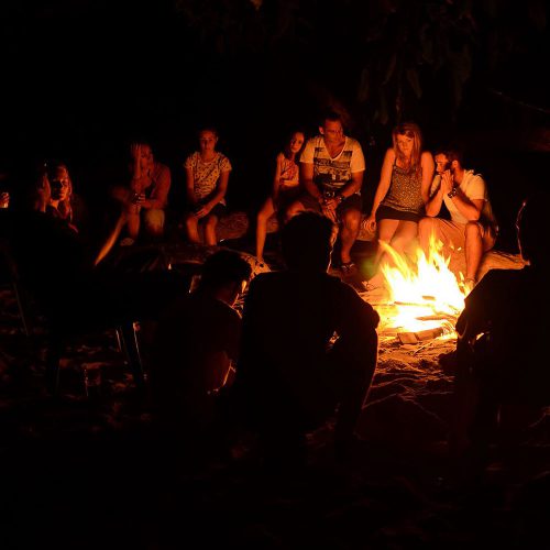 Overnight Tours to Daintree and Cape Tribulation