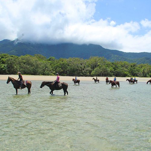 Overnight Tours to Daintree and Cape Tribulation
