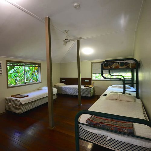 Ferntree Rainforest Lodge
