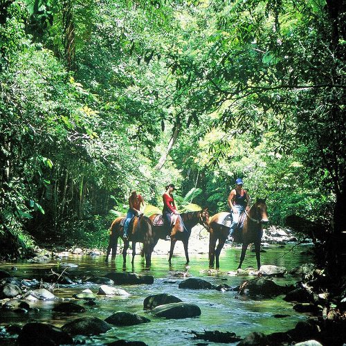 Overnight Tours to Daintree and Cape Tribulation
