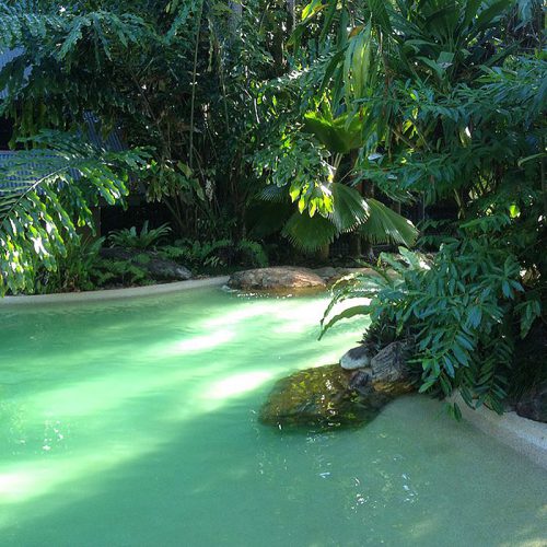 Ferntree Rainforest Lodge